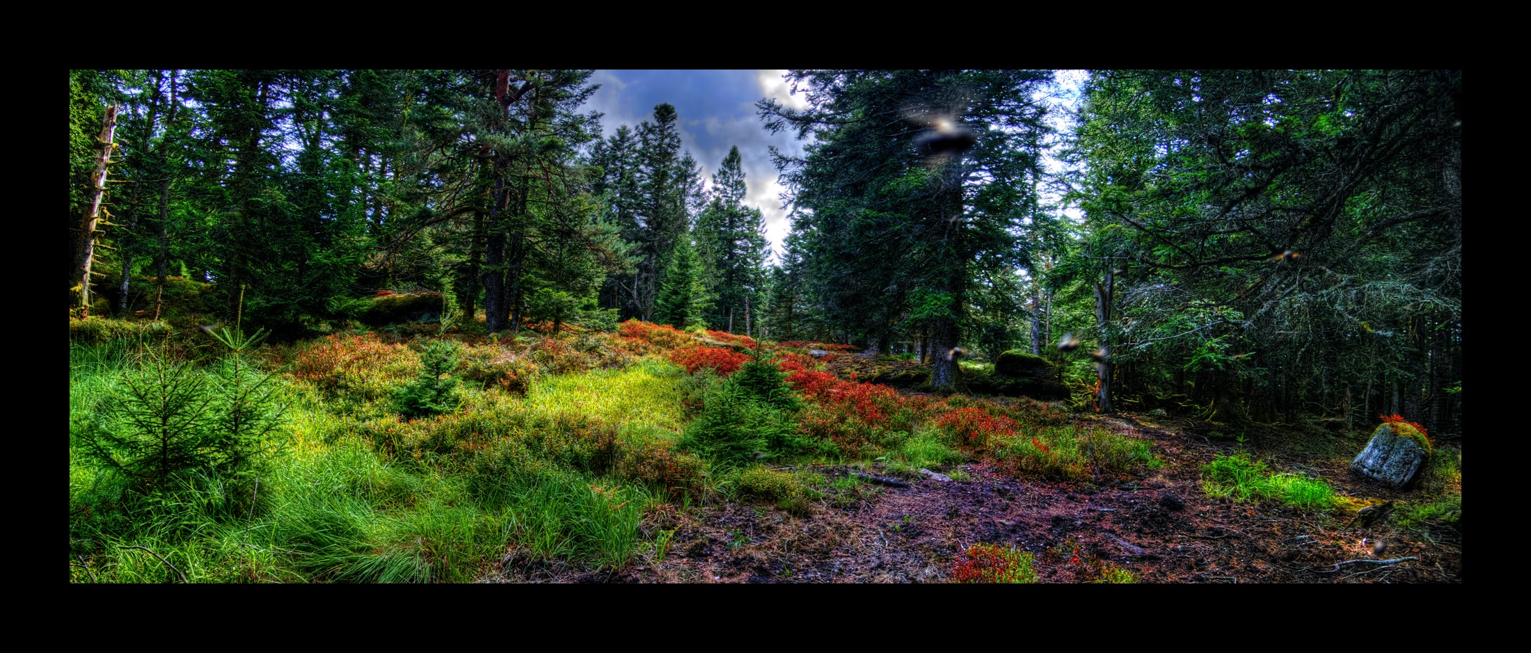 You are currently viewing Elsassblick – Le Grossmann