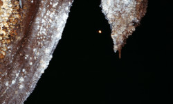 Grotte Saint Marcel (Ardèche) Spéléologie - Saint-Marcel