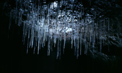 Grotte Poujol (Causses) Spéléologie - Poujol
