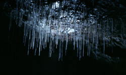 Grotte Poujol (Causses) Spéléologie - Poujol