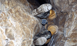 Franchissement d'une étroiture verticale dans la Baume du Petit Mont (Doubs) Spéléologie - petit-mont