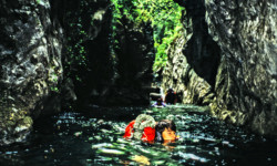 Bendola 1991 - Nicolas Bendola - Nicolas