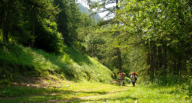 Baisse de Lugo Bendola 2005 - Baisse de Lugo