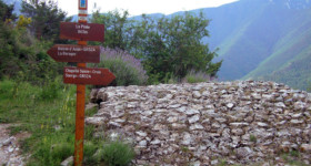 La Pinée Bendola 2005 - La Pinée