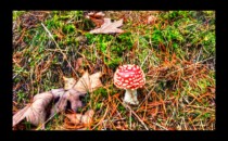 Un petit ballon rouge