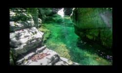 Bendola 2018 - Bief au soleil Bendola 2018 - Bief au soleil