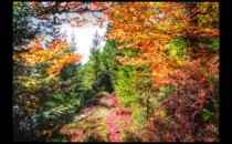 en descendant de Urstein en descendant de Urstein