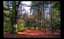 Après Altmatt, vers le Noll