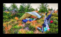 Le bivouac
