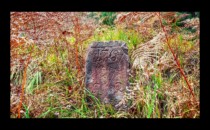 Borne sur le chemin des Bornes