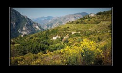 Bendola 2019 - Sortie de Saorge par le GR52A Bendola 2019 - Sortie de Saorge par le GR52A