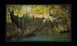 Bendola 2019 - Cascade de tuf Bendola 2019 - Cascade de tuf
