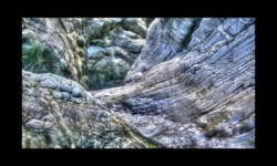 Bendola 2018 Bendola 2018