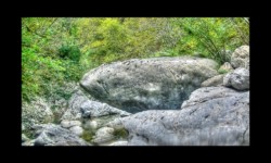 Bendola 2018 - Lieu-dit du Requin Bendola 2018 - Lieu-dit du Requin