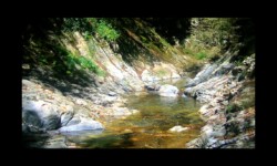 Bendola 2018 - Rivière Bendola 2018 - Rivière