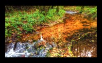 La rivière du Canceley