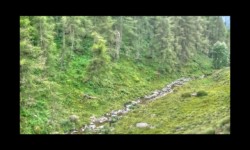 Bendola 2018 - Ruisseau de Marta Bendola 2018 - Ruisseau de Marta