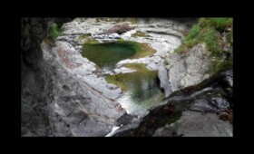 Vasque en cœur Bendola 2016 - Vasque en coeur