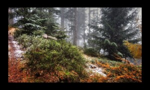 1ère neige Walscheid-17nov2019-01