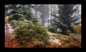 1ère neige Walscheid-17nov2019-01