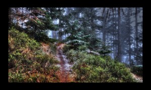 Walscheid-17nov2019-02 Walscheid-17nov2019-02