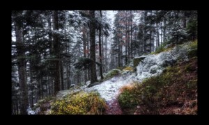 Walscheid-17nov2019-03 Walscheid-17nov2019-03