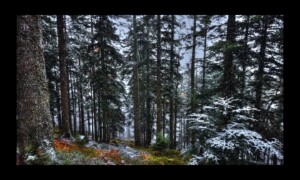 Walscheid-17nov2019-04 Walscheid-17nov2019-04