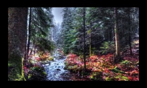 Walscheid-17nov2019-05 Walscheid-17nov2019-05