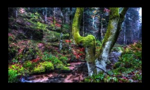 Walscheid-17nov2019-06 Walscheid-17nov2019-06