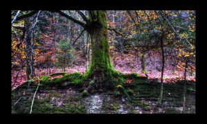 Walscheid-17nov2019-07 Walscheid-17nov2019-07