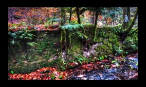 Walscheid-17nov2019-08 Walscheid-17nov2019-08