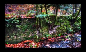 Walscheid-17nov2019-08 Walscheid-17nov2019-08