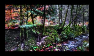 Walscheid-17nov2019-09 Walscheid-17nov2019-09