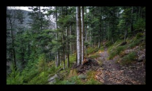 Montée vers la Chatte Pendue Montée vers la Chatte Pendue