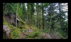 Montée vers la Chatte Pendue Montée vers la Chatte Pendue