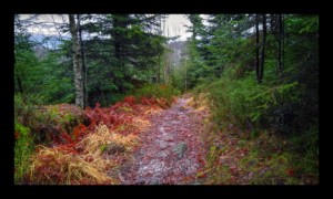 Arrivée à la Chatte Pendue Arrivée à la Chatte Pendue
