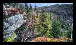 Depuis la Chatte Pendue Depuis la Chatte Pendue