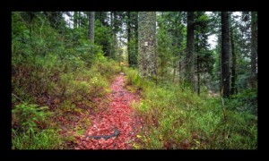 Descente de la Chatte Pendue sentier sud-ouest Descente de la Chatte Pendue sentier sud-ouest