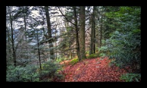Descente de la Chatte Pendue sentier sud-ouest Descente de la Chatte Pendue sentier sud-ouest
