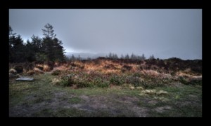 Au sommet de la Haute Loge : 5°, vent et pluie de décembre Au sommet de la Haute Loge