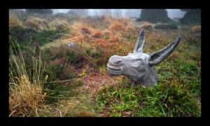 Etrange apparition Etrange apparition