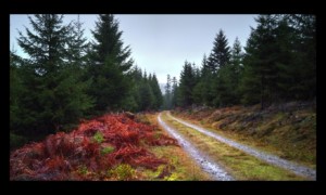 Piste sous la Haute Loge Piste sous la Haute Loge