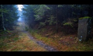 Chemin des Bornes avant la Baraque Carrée Chemin des Bornes avant la Baraque Carrée