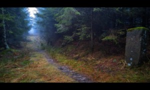 Chemin des Bornes avant la Baraque Carrée Chemin des Bornes avant la Baraque Carrée