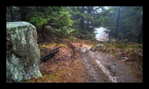 Chemin des Bornes vers la Baraque Carrée Chemin des Bornes vers la Baraque Carrée
