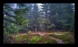 Chemin des Bornes vers la Baraque Carrée Chemin des Bornes vers la Baraque Carrée