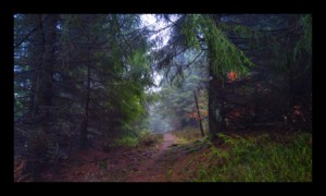 Chemin des Bornes vers la Baraque Carrée Chemin des Bornes vers la Baraque Carrée
