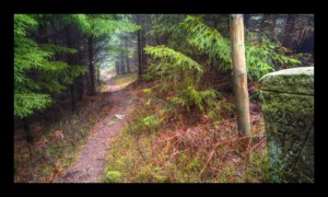 Chemin des Bornes vers la Baraque Carrée Chemin des Bornes vers la Baraque Carrée