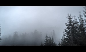 Le Noll dans le brouillard Le Noll dans le brouillard