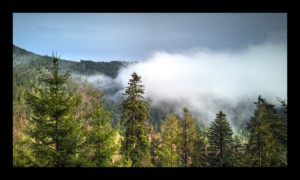 Le Noll dans le brouillard Le Noll dans le brouillard